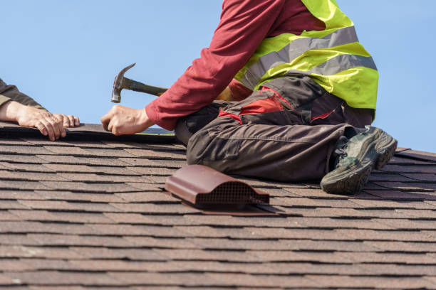 Best Roof Repair Services  in Knoxvle, IL