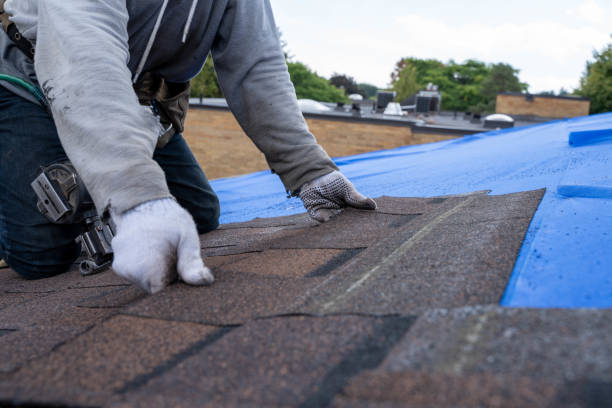 Best Storm Damage Roof Repair  in Knoxvle, IL