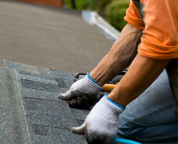 Best Storm Damage Roof Repair  in Knoxvle, IL