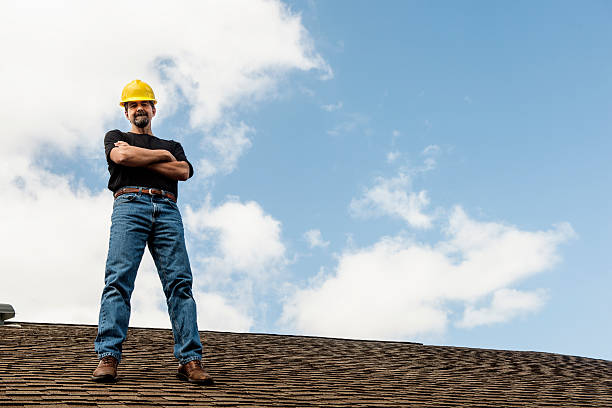 Best Flat Roof Repair Services  in Knoxvle, IL