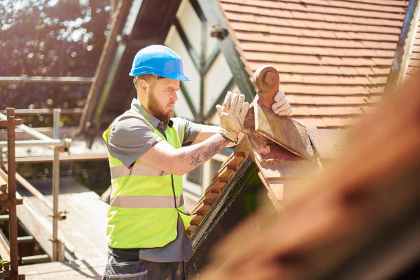 Best Commercial Roofing Services  in Knoxvle, IL