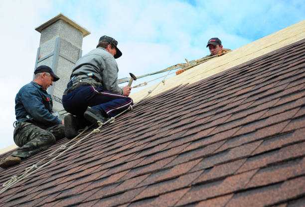 Best Roof Maintenance Services  in Knoxvle, IL