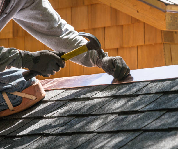 Best Shingle Roofing Installation  in Knoxvle, IL